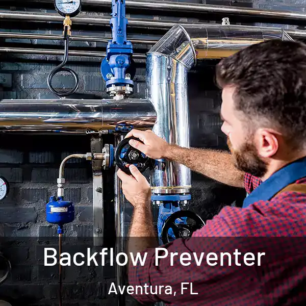  Backflow Preventer Aventura, FL