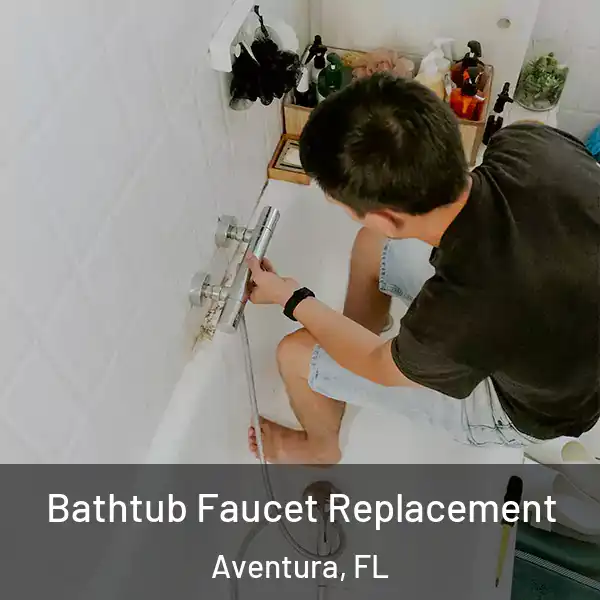  Bathtub Faucet Replacement Aventura, FL
