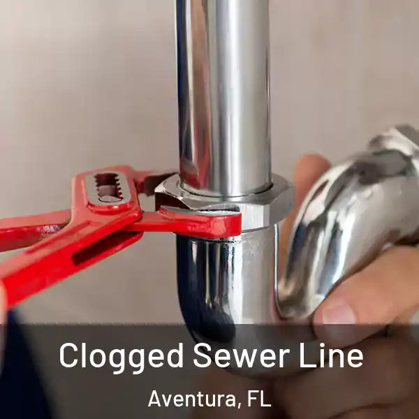  Clogged Sewer Line Aventura, FL