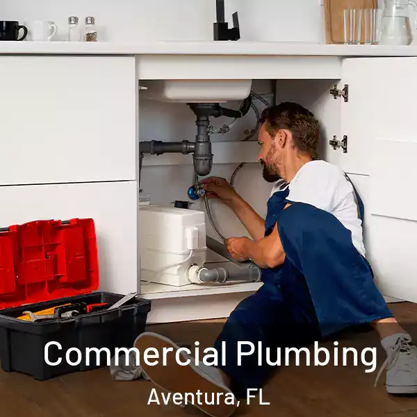  Commercial Plumbing Aventura, FL