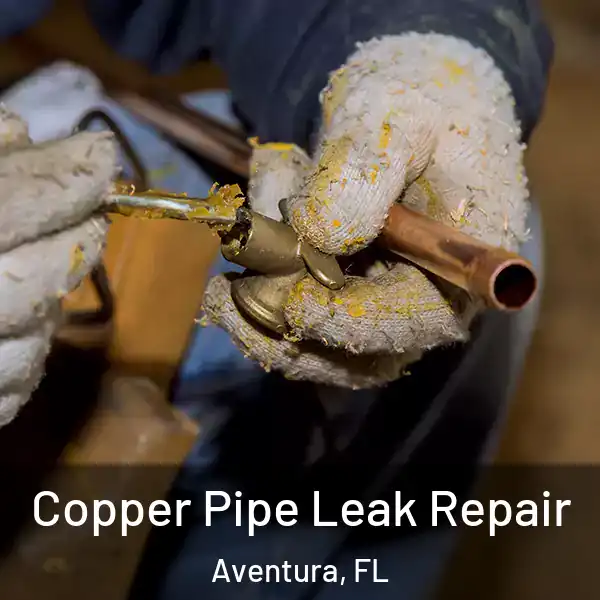  Copper Pipe Leak Repair Aventura, FL