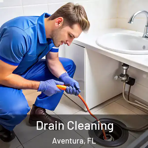  Drain Cleaning Aventura, FL