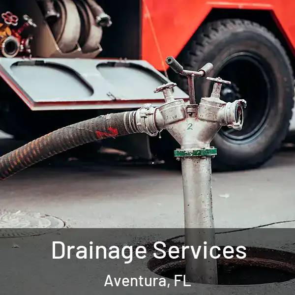  Drainage Services Aventura, FL