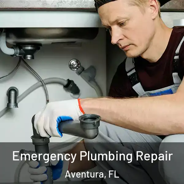  Emergency Plumbing Repair Aventura, FL