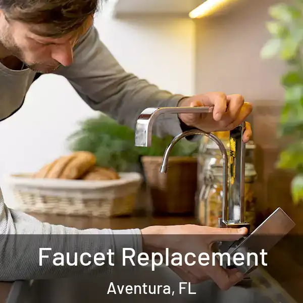  Faucet Replacement Aventura, FL