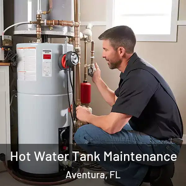  Hot Water Tank Maintenance Aventura, FL