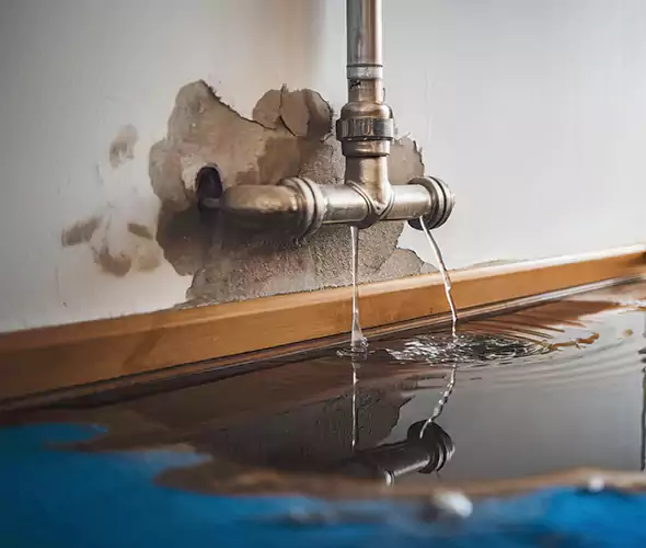 Professional Water Damage Restoration Experts in Aventura, FL — Fast, Reliable & Certified