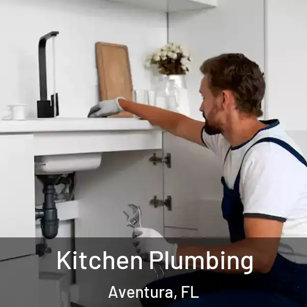  Kitchen Plumbing Aventura, FL