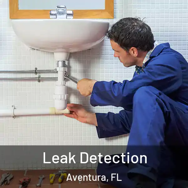  Leak Detection Aventura, FL