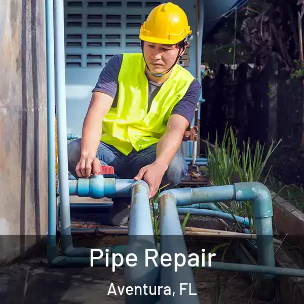  Pipe Repair Aventura, FL
