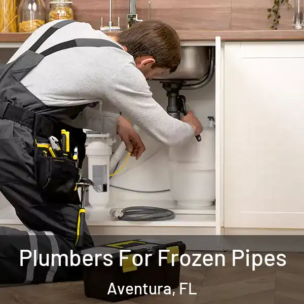  Plumbers For Frozen Pipes Aventura, FL
