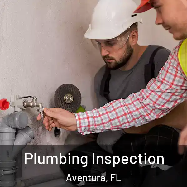 Plumbing Inspection Aventura, FL