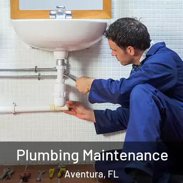  Plumbing Maintenance Aventura, FL