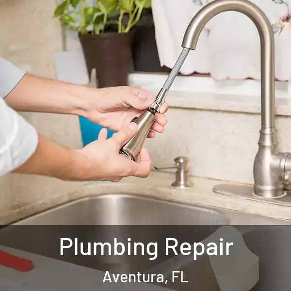  Plumbing Repair Aventura, FL