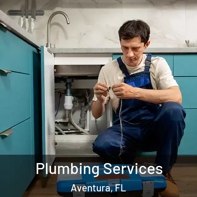  Plumbing Services Aventura, FL
