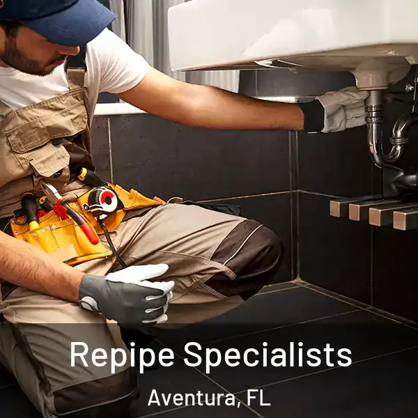  Repipe Specialists Aventura, FL