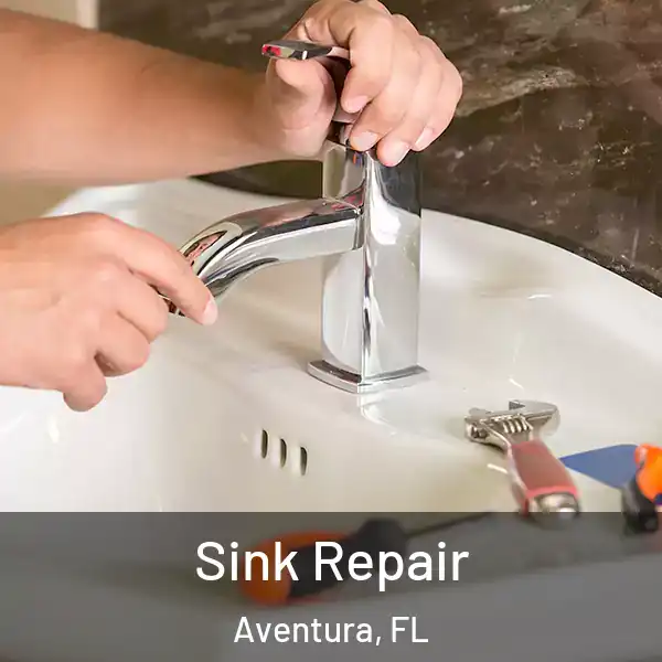  Sink Repair Aventura, FL