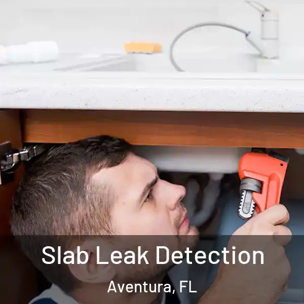  Slab Leak Detection Aventura, FL