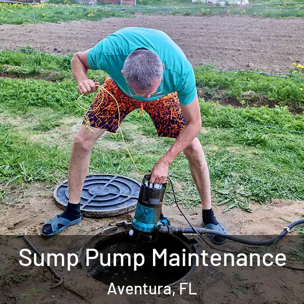  Sump Pump Maintenance Aventura, FL