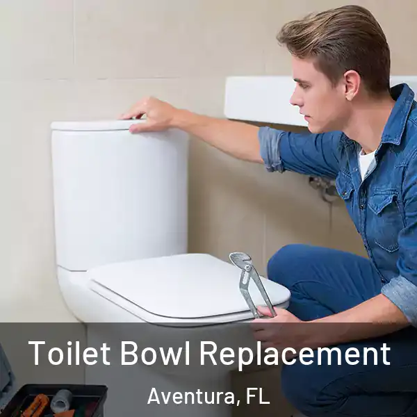  Toilet Bowl Replacement Aventura, FL