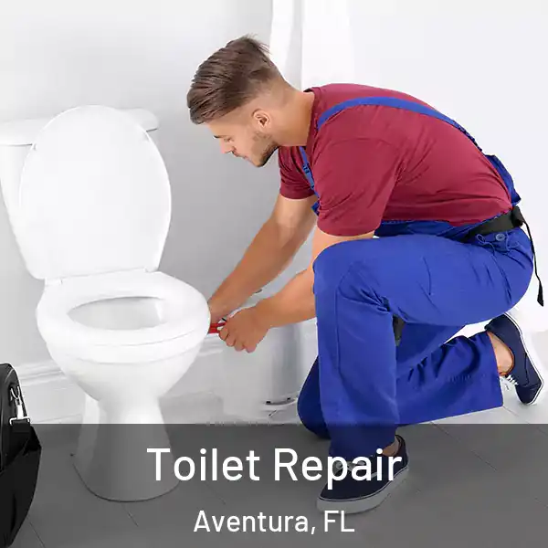  Toilet Repair Aventura, FL