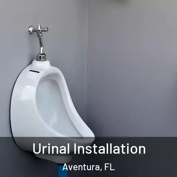  Urinal Installation Aventura, FL