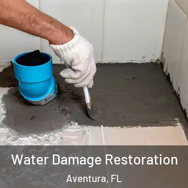  Water Damage Restoration Aventura, FL