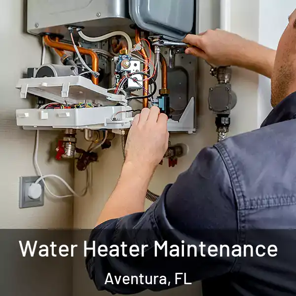  Water Heater Maintenance Aventura, FL