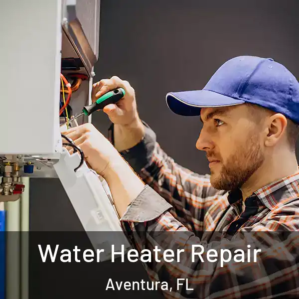  Water Heater Repair Aventura, FL