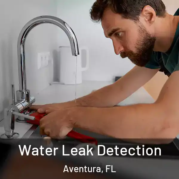  Water Leak Detection Aventura, FL